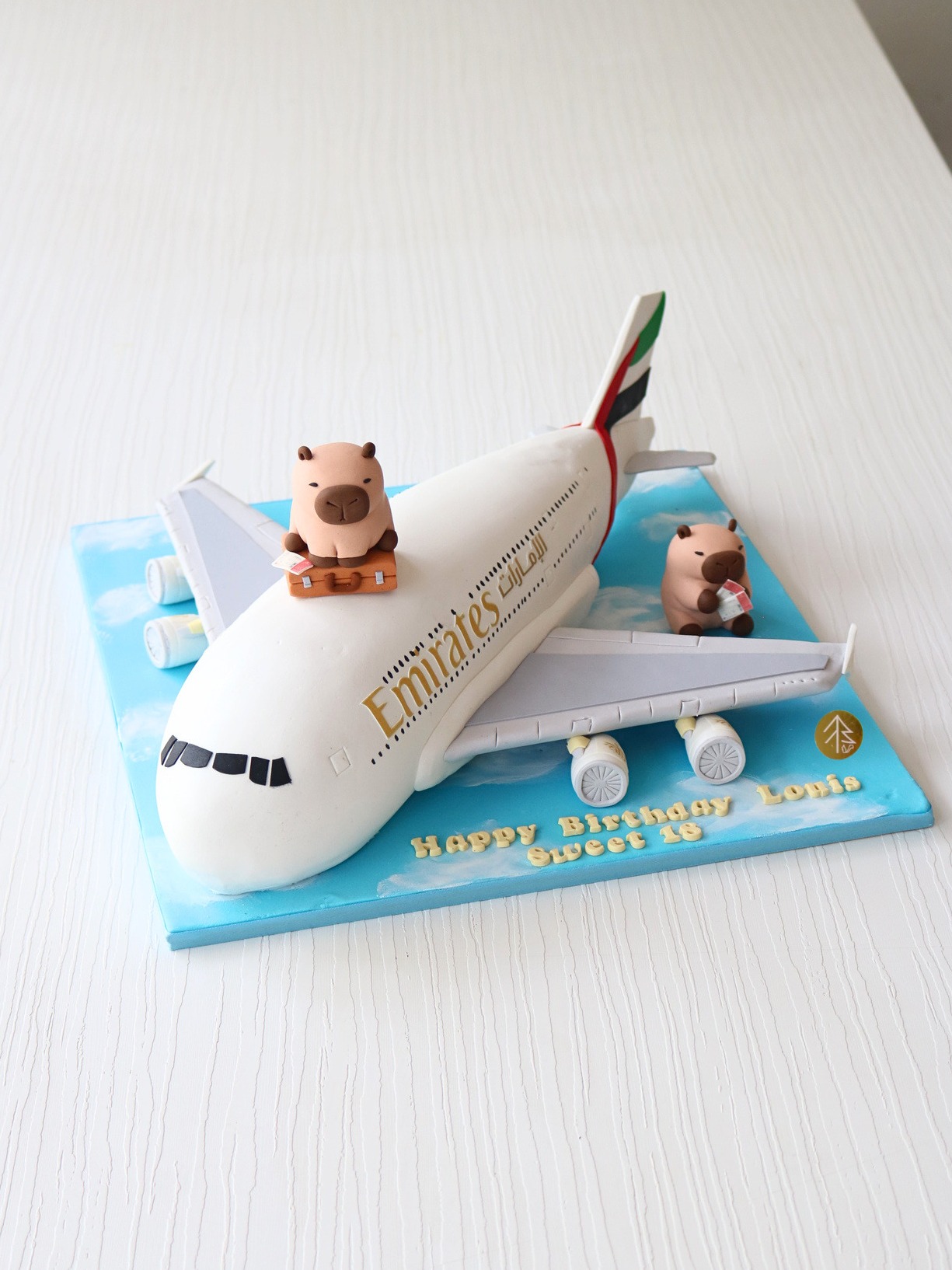 Capybara Travel Aeroplane Cake