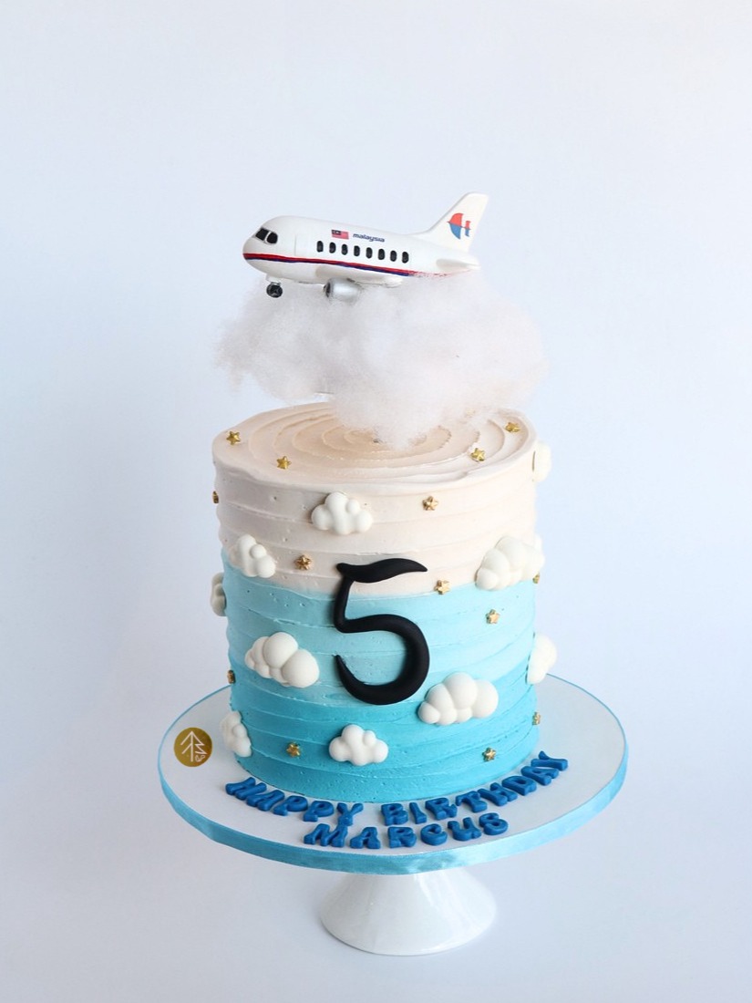 Malaysia Aeroplane Cake