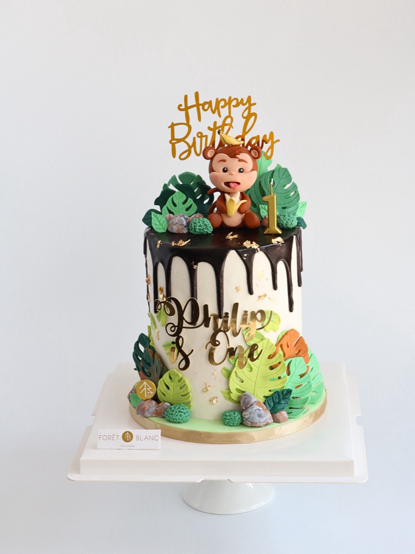 Monkey Safari Cake 1