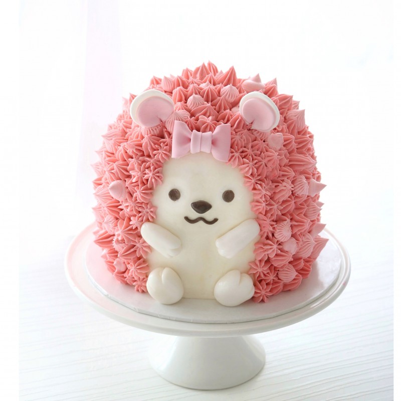 Little Miss Hedgehog Cake