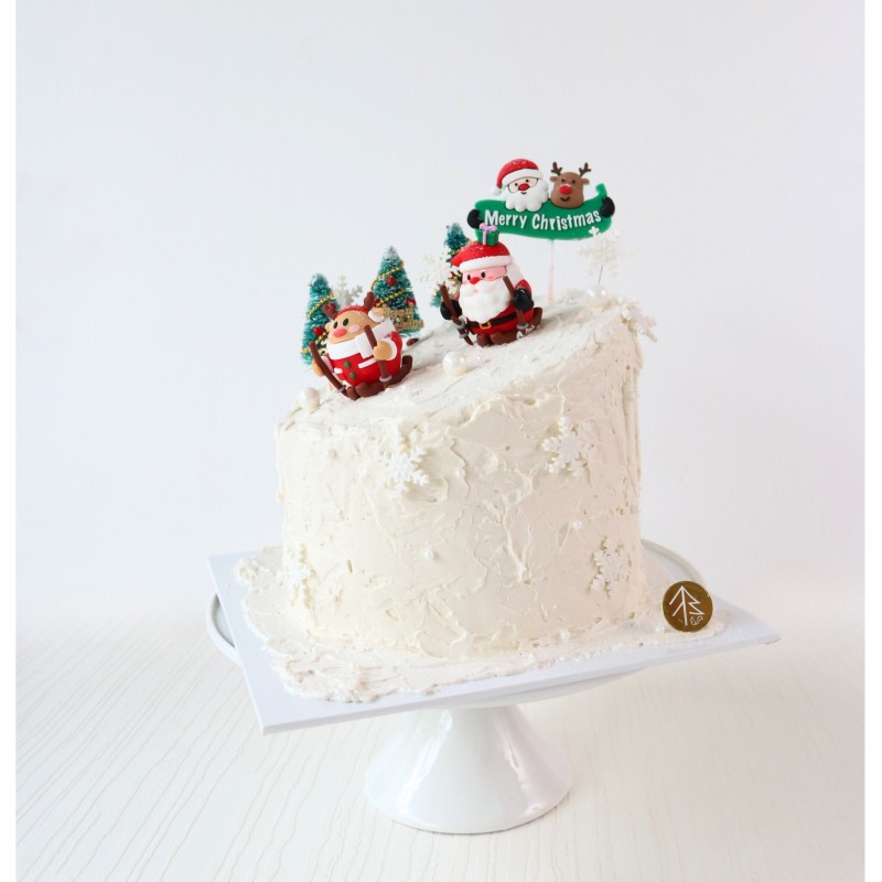 Snow Skii Christmas Cake