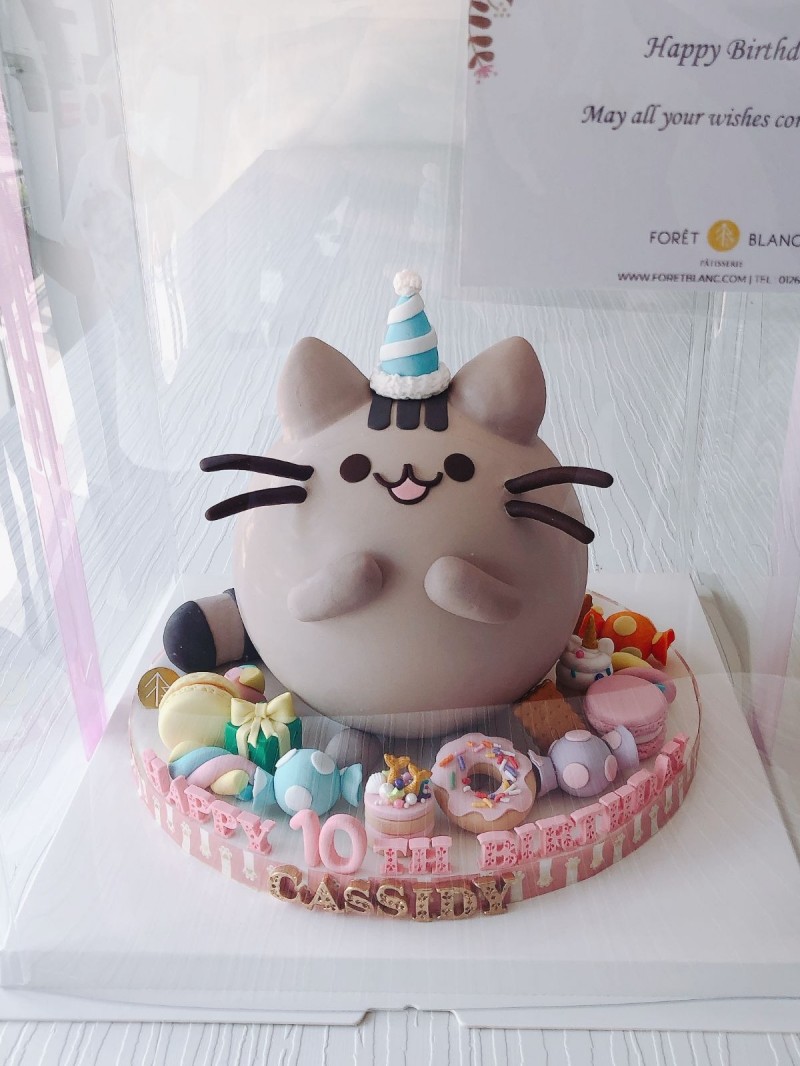 Pusheen Chocolate Pinata