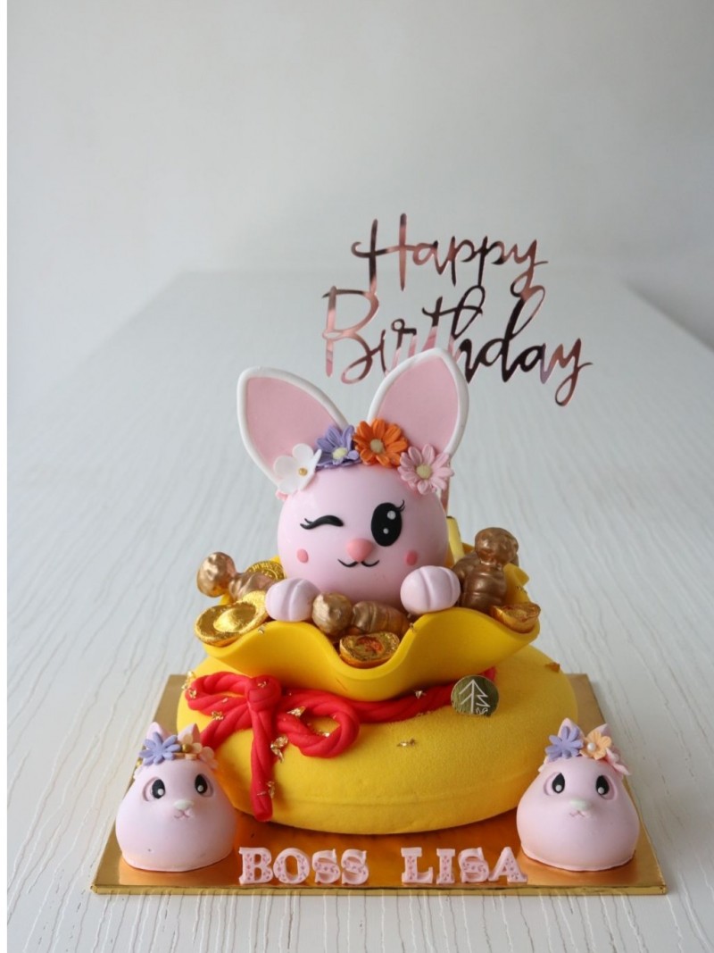 Bunny Money Bag Cake